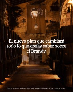 🇪🇸 Un plan SINGULAR no siempre está lejos.​

A veces empieza cruzando la puerta de una bodega.​

Este verano, descubre una experiencia exclusiva en las bodegas de Mora con CARLOS I, vinos de Jerez e ibéricos @cincojotas.​

Más info en el link de la bio.​

​🇬🇧 A SINGULAR experience isn't always far away.

Sometimes it begins by stepping through the door of a winery.

This summer, discover an exclusive experience at the Mora cellars with CARLOS I, sherry wines and Iberian delicacies @cincojotas

​More info via the link in bio.

#BrandyCarlosI #CarlosI #BrandyDeJerez​ #EspírituSingular #ElPuertoDeSantaMaría